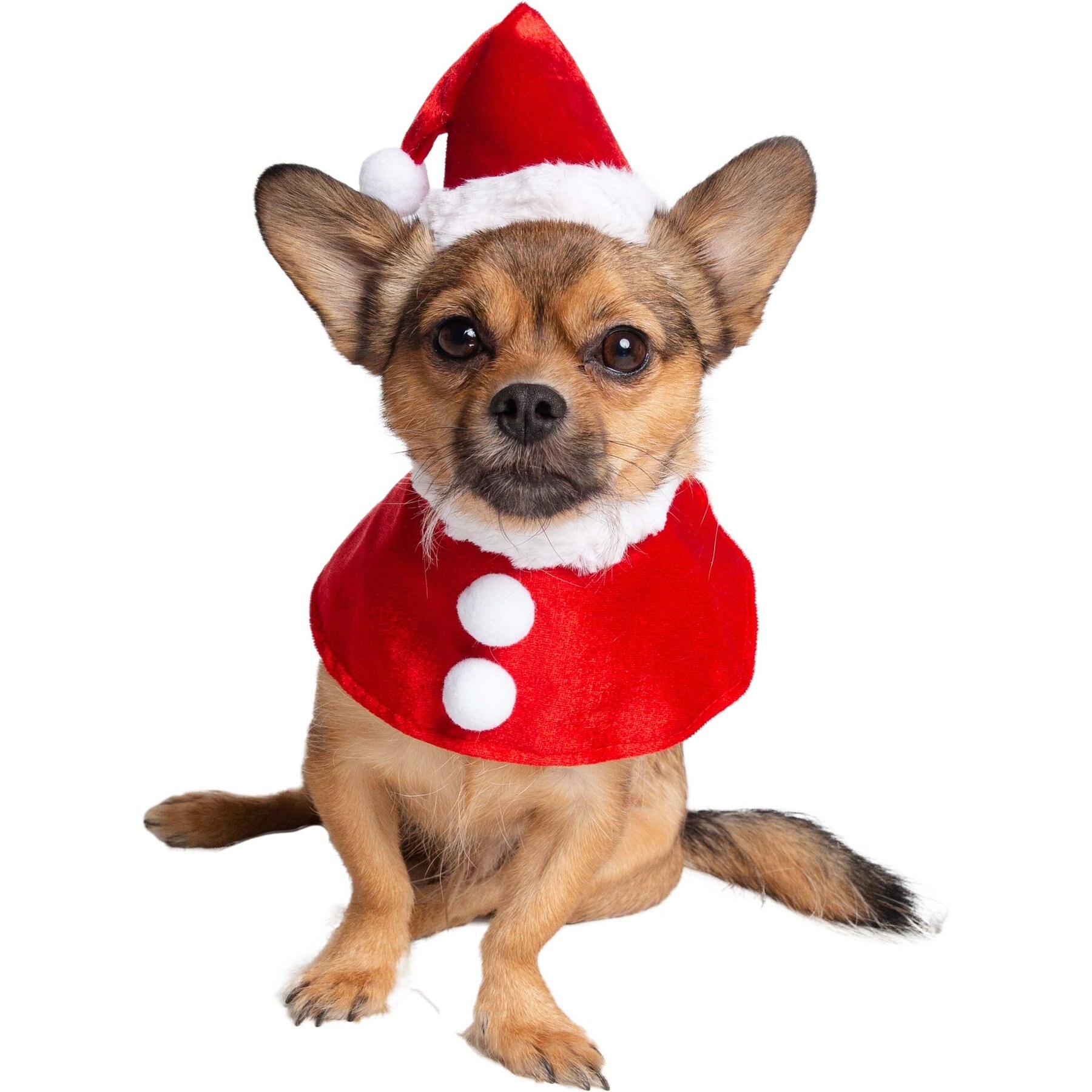 Pet Krewe Christmas Santa Hat & Collar Set Dog Costume, Small/Medium