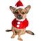 Show in main carousel: Pet Krewe Christmas Santa Hat & Collar Set Dog Costume, Small/Medium slide 1 of 8