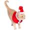 Show in main carousel: Pet Krewe Christmas Santa Hat & Collar Set Dog Costume, Small/Medium slide 4 of 8