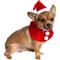 Show in main carousel: Pet Krewe Christmas Santa Hat & Collar Set Dog Costume, Small/Medium slide 3 of 8