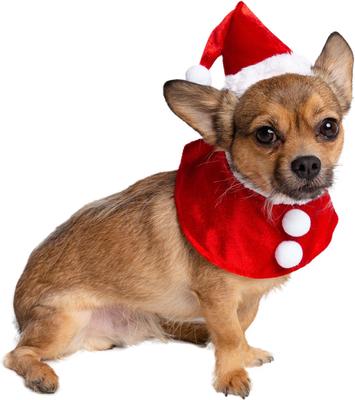 Show full view: Pet Krewe Christmas Santa Hat & Collar Set Dog Costume, Small/Medium slide 3 of 8