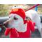 Show in main carousel: Pet Krewe Sesame Street Elmo Dog & Cat Costume, Medium slide 3 of 8