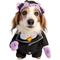 Show in main carousel: Pet Krewe Sesame Street the count Dog Costume, Medium slide 1 of 8