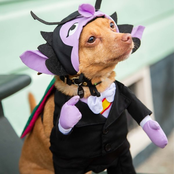 Pet Krewe Sesame Street the Count Dog Costume