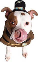 Pet Krewe Steam Punk Dog Costume, Medium/Large