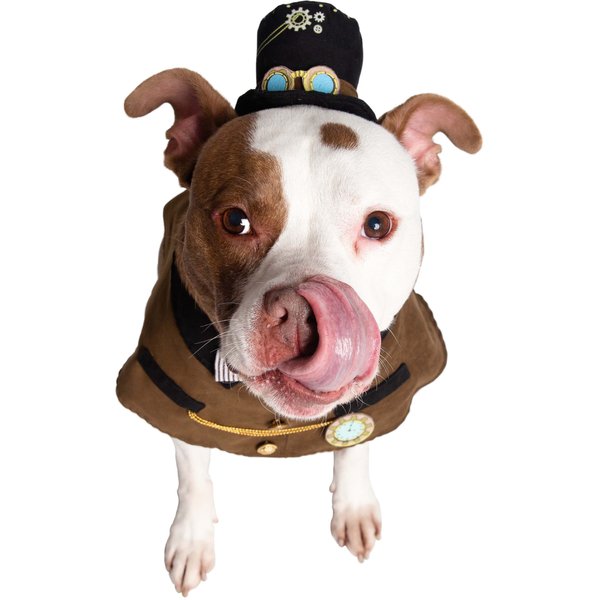 Pet Life Pawlice Pawtrol Police Dog Costume Uniform