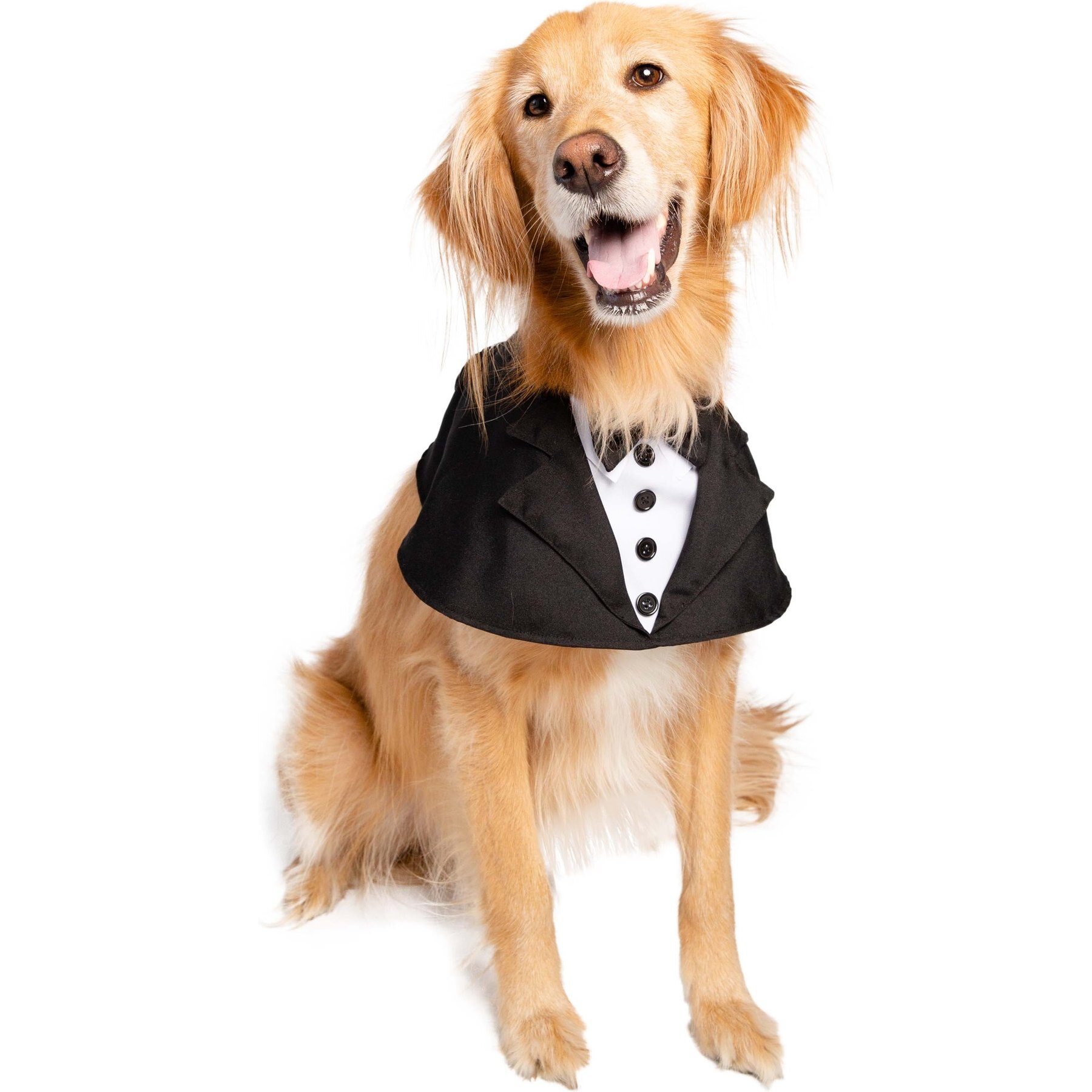 Pet Krewe Tuxedo Collar Dog Costume, Large/X-Large