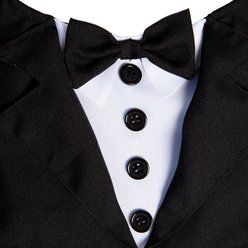 Pet Krewe Tuxedo Collar Dog Costume, Large/X-Large slide 2 of 7