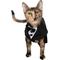 Show in main carousel: Pet Krewe Tuxedo Collar Dog Costume, Small/Medium slide 1 of 8