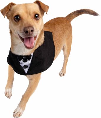Show full view: Pet Krewe Tuxedo Collar Dog Costume, Small/Medium slide 2 of 8