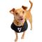 Show in main carousel: Pet Krewe Tuxedo Collar Dog Costume, Small/Medium slide 3 of 8
