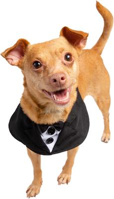 Show full view: Pet Krewe Tuxedo Collar Dog Costume, Small/Medium slide 3 of 8