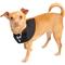Show in main carousel: Pet Krewe Tuxedo Collar Dog Costume, Small/Medium slide 4 of 8