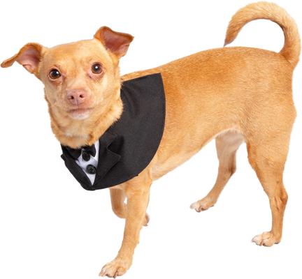 Show full view: Pet Krewe Tuxedo Collar Dog Costume, Small/Medium slide 4 of 8