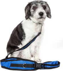 Pet Life 2-Piece Accordion & Hands-Free Belt-Clip Dog Leash Set, 3/4-in wide, Blue