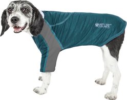 Pet Life Active Chewitt Wagassy 4-Way Stretch Performance Long Sleeve Dog T-Shirt, Teal, Medium