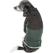 Show in main carousel: Pet Life Active Embarker Dog Shirt, Hunter Green, X-Large slide 4 of 8
