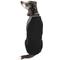 Show in main carousel: Pet Life Active Hybreed 4-Way Stretch Two-Toned Performance Dog T-Shirt, Black/Grey, Medium slide 3 of 9