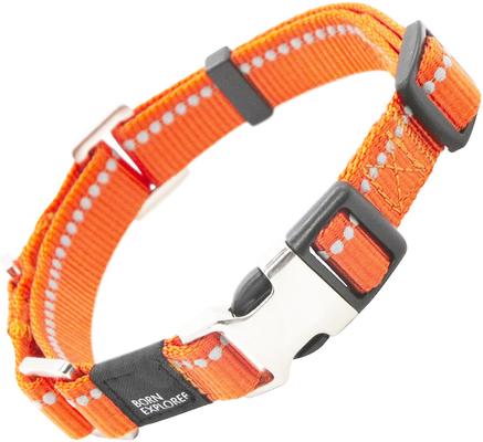Show full view: Pet Life Advent Outdoor Series 3M Reflective 2-in-1 Durable Martingale Training Dog Leash & Collar, Orange, Large slide 4 of 6