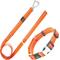 Show in main carousel: Pet Life Advent Outdoor Series 3M Reflective 2-in-1 Durable Martingale Training Dog Leash & Collar, Orange, Small slide 1 of 5