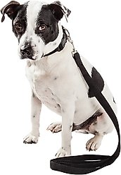 Pet Life Aero Mesh 2-In-1 Dual Sided Mesh Dog Leash & Collar, Black, Medium slide 2 of 5