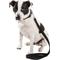 Show in main carousel: Pet Life Aero Mesh 2-In-1 Dual Sided Mesh Dog Leash & Collar, Black, Medium slide 2 of 5