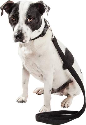 Show full view: Pet Life Aero Mesh 2-In-1 Dual Sided Mesh Dog Leash & Collar, Black, Medium slide 2 of 5