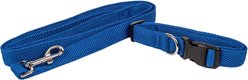 Pet Life Aero Mesh 2-In-1 Dual Sided Mesh Dog Leash & Collar, Blue, Large