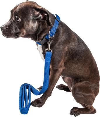 Show full view: Pet Life Aero Mesh 2-In-1 Dual Sided Mesh Dog Leash & Collar, Blue, Large slide 3 of 5