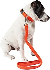 Pet Life Aero Mesh 2-In-1 Dual Sided Mesh Dog Leash & Collar, Orange, Large slide 2 of 6