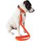 Show in main carousel: Pet Life Aero Mesh 2-In-1 Dual Sided Mesh Dog Leash & Collar, Orange, Large slide 2 of 6