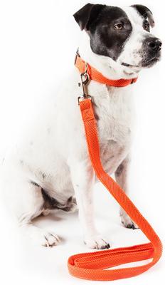 Show full view: Pet Life Aero Mesh 2-In-1 Dual Sided Mesh Dog Leash & Collar, Orange, Large slide 3 of 6