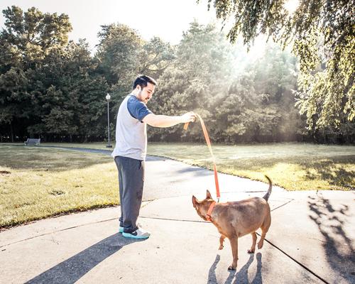 Show full view: Pet Life Aero Mesh 2-In-1 Dual Sided Mesh Dog Leash & Collar, Orange, Large slide 5 of 6
