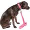 Show in main carousel: Pet Life Aero Mesh 2-In-1 Dual Sided Mesh Dog Leash & Collar, Pink, Large slide 2 of 5