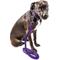 Show in main carousel: Pet Life Aero Mesh 2-In-1 Dual Sided Mesh Dog Leash & Collar, Purple, Large slide 2 of 3