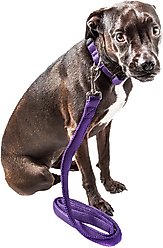 Pet Life Aero Mesh 2-In-1 Dual Sided Mesh Dog Leash & Collar, Purple, Small slide 2 of 3