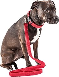 Pet Life Aero Mesh 2-In-1 Dual Sided Mesh Dog Leash & Collar, Red, Small slide 2 of 4