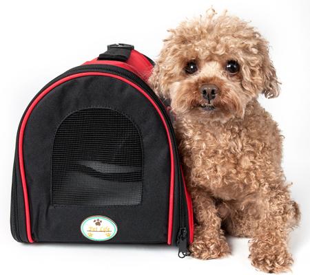 Show full view: Pet Life Airline Approved Folding Zippered Sporty Mesh Dog Carrier, Red & Black, Large slide 2 of 8