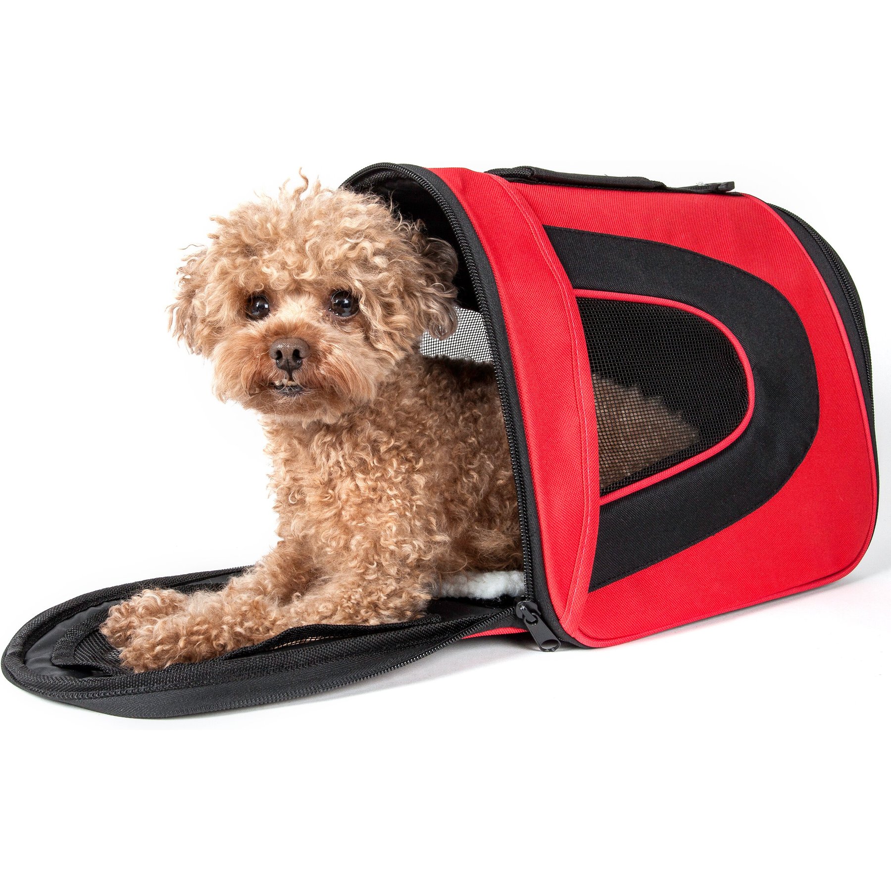 Pet Life Airline Approved Folding Zippered Sporty Mesh Dog Carrier, Red & Black, Medium