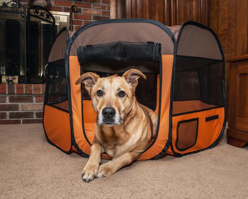 Show full view: Pet Life All-Terrain Wire-Framed Collapsible Travel Dog Playpen, Brown & Orange, Large slide 5 of 8