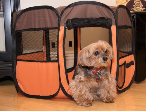 Show full view: Pet Life All-Terrain Wire-Framed Collapsible Travel Dog Playpen, Brown & Orange, Large slide 6 of 8