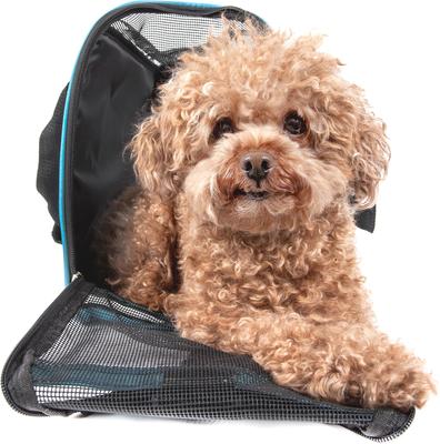 Show full view: Pet Life Altitude Force Airline Approved Zippered Fashion Dog Carrier, Blue, Large slide 3 of 7