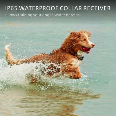 Show full view: Pet Life Barkshield Waterproof Dog Training Collar, Orange/Black slide 7 of 8