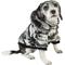 Show in main carousel: Pet Life Fashion Parka Dog Coat, Medium slide 3 of 8