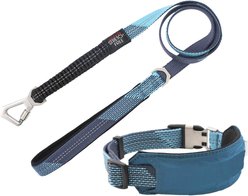Pet Life Geo-prene 2-in-1 Shock Absorbing Neoprene Padded Reflective Dog Leash & Collar, Blue, Small