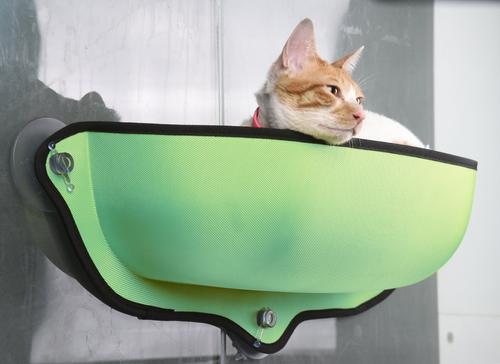 Show full view: Pet Life Gravity-Lounge Suction Cup Kitty Cat Lounger & Bed, Green slide 4 of 4