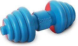 Pet Life Iron-Wag Durable Water Floating Chew & Fetch Dog Toy