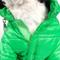 Show in main carousel: Pet Life Lightweight Sporty Avalanche Dog Coat, Green, Large slide 6 of 9