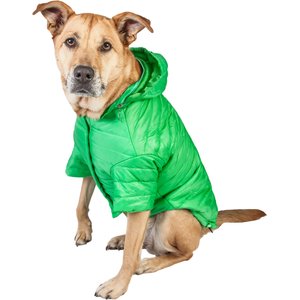 Pet Life Lightweight Sporty Avalanche Dog Coat, Green, X-Large