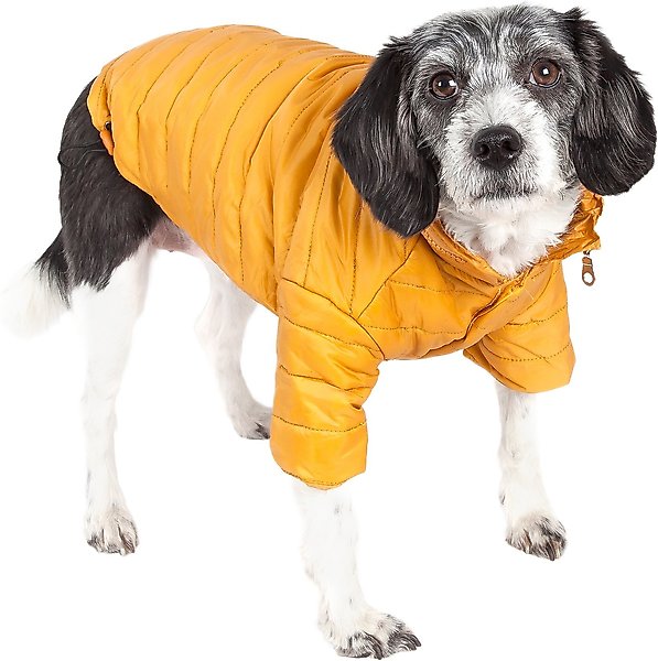 Show full view: Pet Life Lightweight Sporty Avalanche Dog Coat, Yellow, X-Small slide 1 of 10